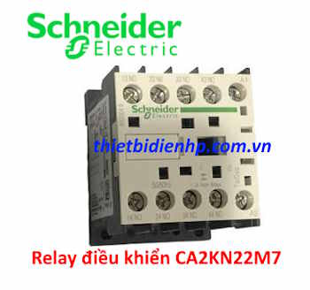Relay điều khiển CA2KN22M7 Schneider