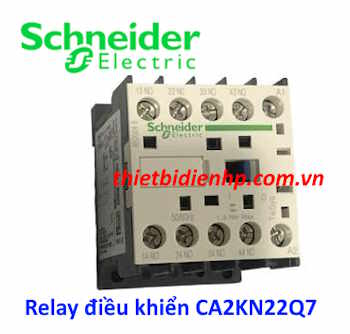 Relay điều khiển CA2KN22Q7 Schneider