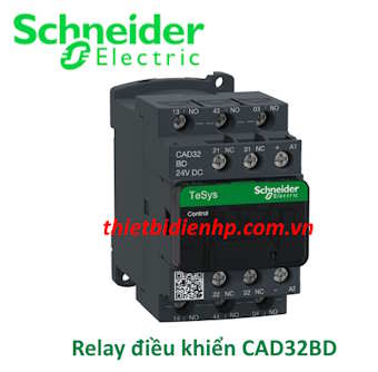Relay điều khiển CAD32BD Schneider