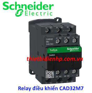 Relay điều khiển CAD32M7 Schneider