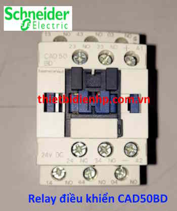 Relay điều khiển CAD50BD Schneider