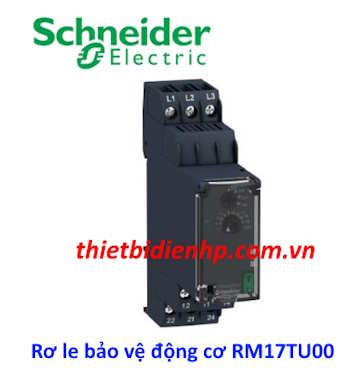 Rơ le bảo vệ động cơ RM17TU00 Schneider