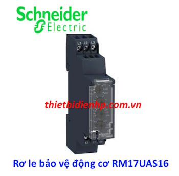 Rơ le bảo vệ động cơ RM17UAS16 Schneider