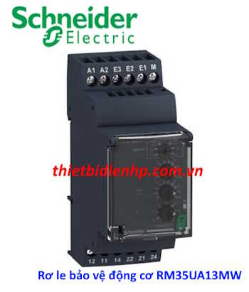 Rơ le bảo vệ động cơ RM35UA13MW Schneider
